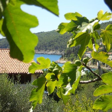 Apartments Ida Sveta Marina Drenje  Εξωτερικό φωτογραφία