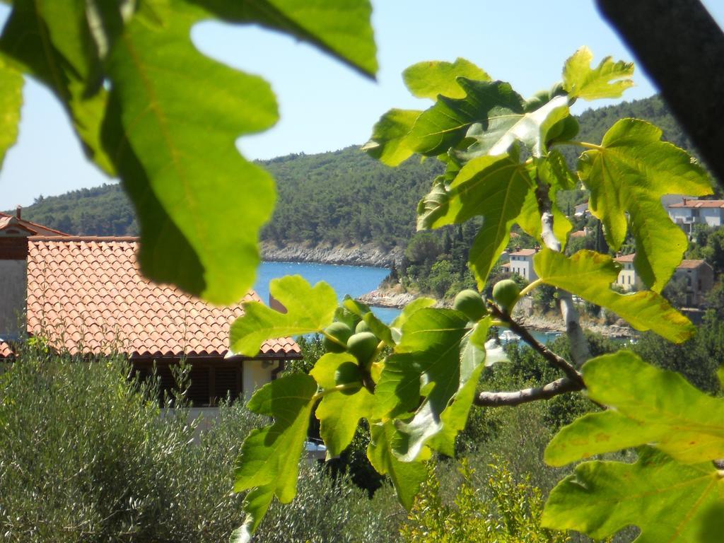 Apartments Ida Sveta Marina Drenje  Εξωτερικό φωτογραφία